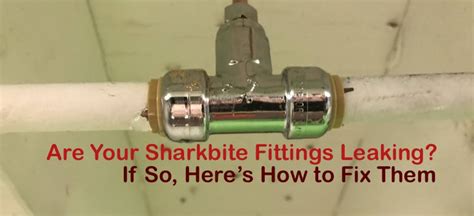 shark bite leaking|Sharkbite Fitting Leaking: How to Fix in minutes